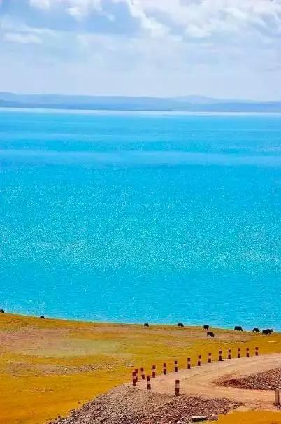 高原瑰宝之旅，探寻青海的生态与文化魅力