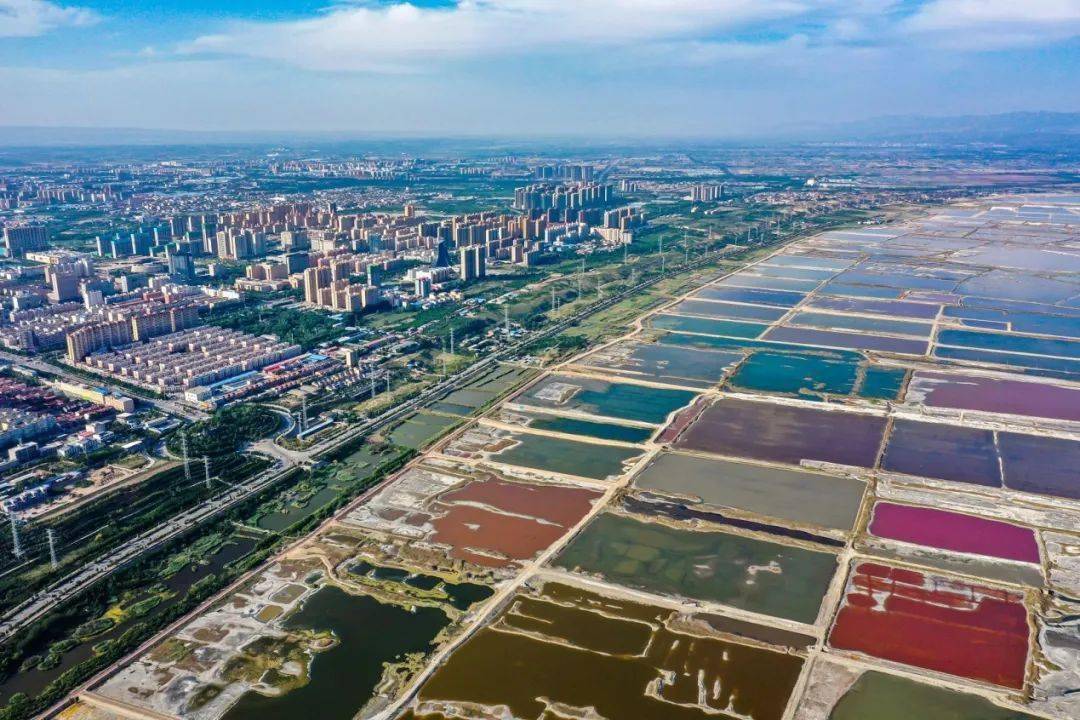 暖阳下的运城小城，记录友情陪伴的温馨故事